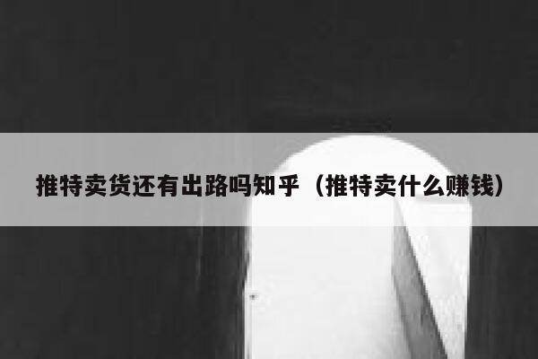 推特卖货还有出路吗知乎（推特卖什么赚钱） 第1张