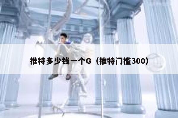 推特多少钱一个G（推特门槛300） 第1张