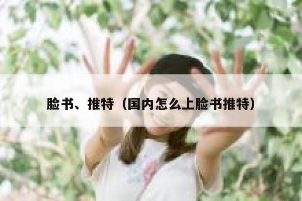 脸书、推特(国内怎么上脸书推特) 第1张 脸书、推特(国内怎么上脸书推特) 第1张