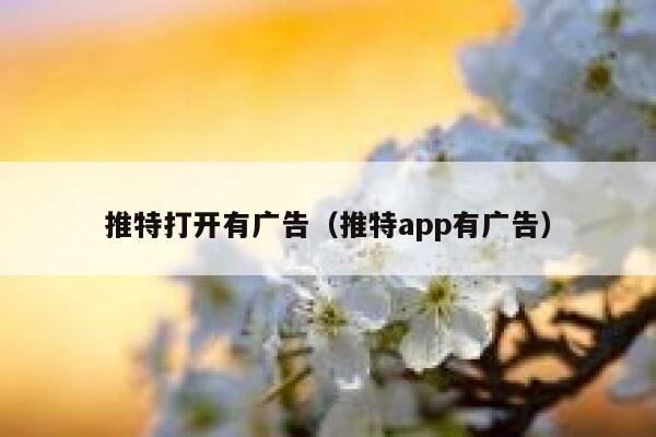 推特打开有广告（推特app有广告） 第1张