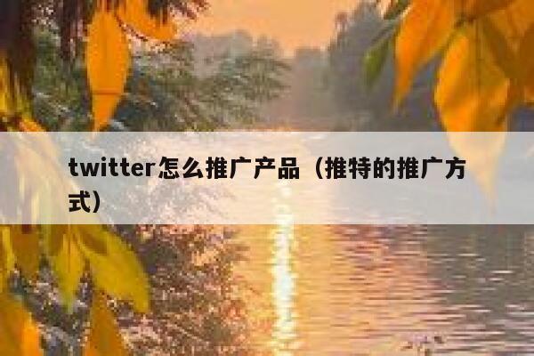 twitter怎么推广产品（推特的推广方式） 第1张