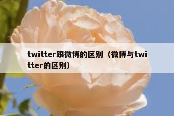 twitter跟微博的区别(微博与twitter的区别) 第1张 twitter跟微博的区别(微博与twitter的区别) 第1张