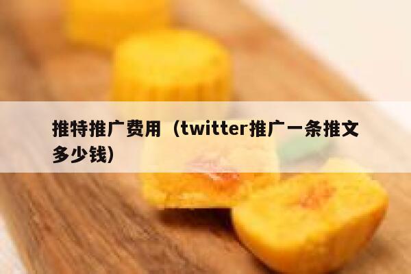 推特推广费用(twitter推广一条推文多少钱) 第1张 推特推广费用(twitter推广一条推文多少钱) 第1张