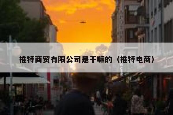 推特商贸有限公司是干嘛的(推特电商) 第1张 推特商贸有限公司是干嘛的(推特电商) 第1张