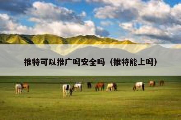 推特可以推广吗安全吗（推特能上吗） 第1张