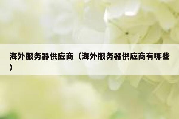 海外服务器供应商(海外服务器供应商有哪些) 第1张 海外服务器供应商(海外服务器供应商有哪些) 第1张