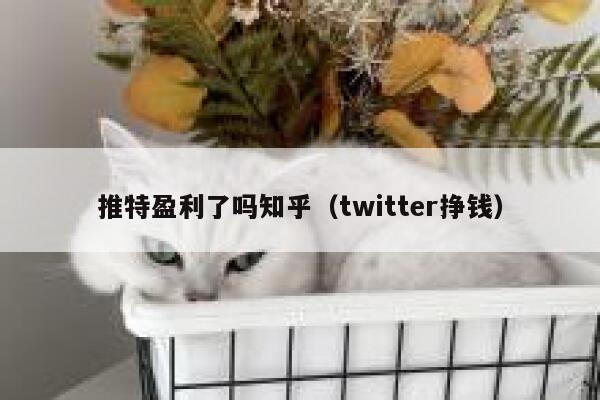 推特盈利了吗知乎（twitter挣钱） 第1张