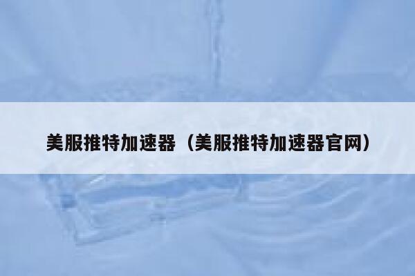 美服推特加速器（美服推特加速器官网） 第1张