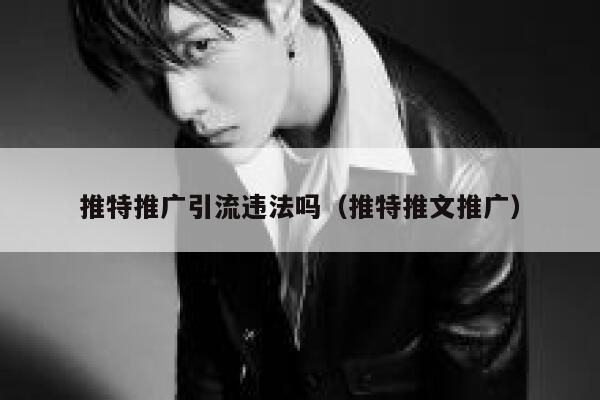 推特推广引流违法吗（推特推文推广） 第1张