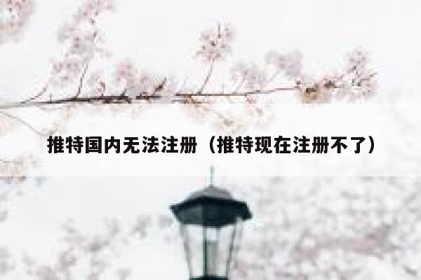 推特国内无法注册(推特现在注册不了) 第1张 推特国内无法注册(推特现在注册不了) 第1张