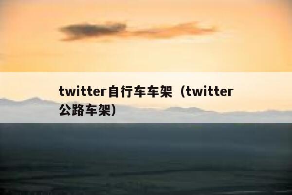 twitter自行车车架（twitter公路车架） 第1张