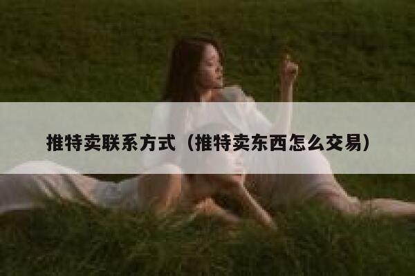推特卖联系方式（推特卖东西怎么交易） 第1张