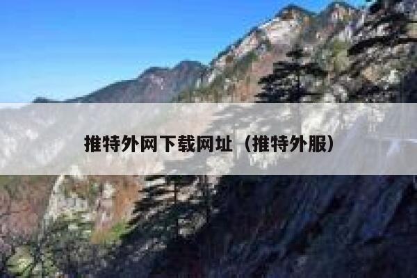 推特外网下载网址（推特外服） 第1张