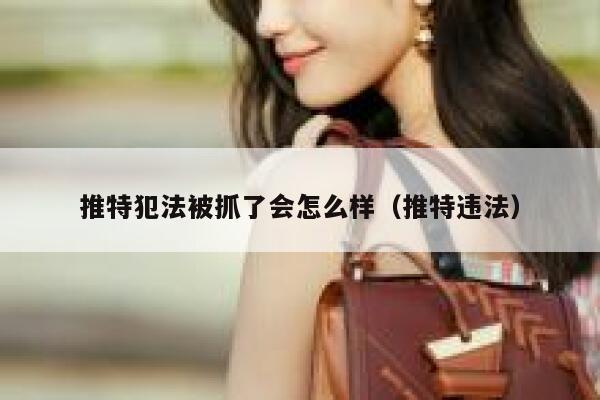 推特犯法被抓了会怎么样（推特违法） 第1张
