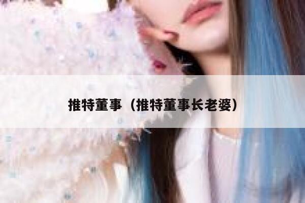 推特董事（推特董事长老婆） 第1张