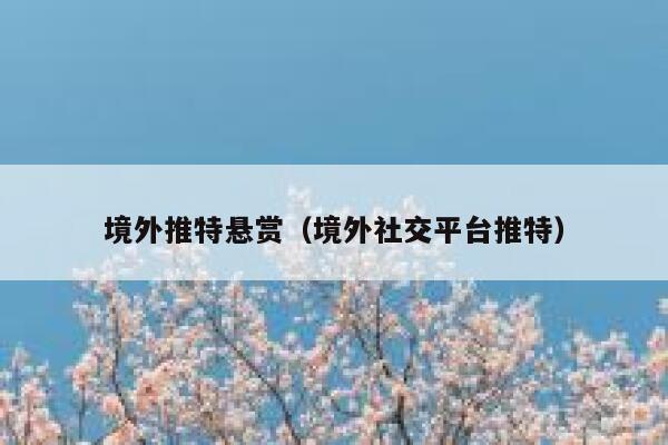 境外推特悬赏（境外社交平台推特） 第1张