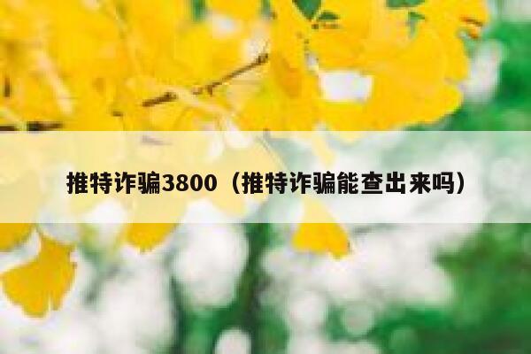 推特诈骗3800（推特诈骗能查出来吗） 第1张