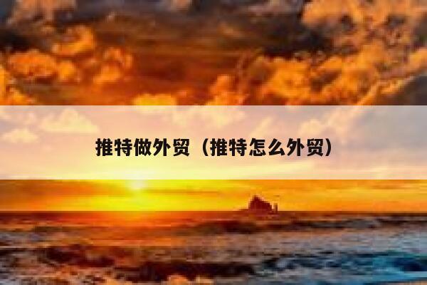 推特做外贸（推特怎么外贸） 第1张