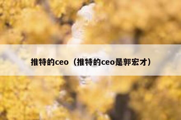 推特的ceo（推特的ceo是郭宏才） 第1张
