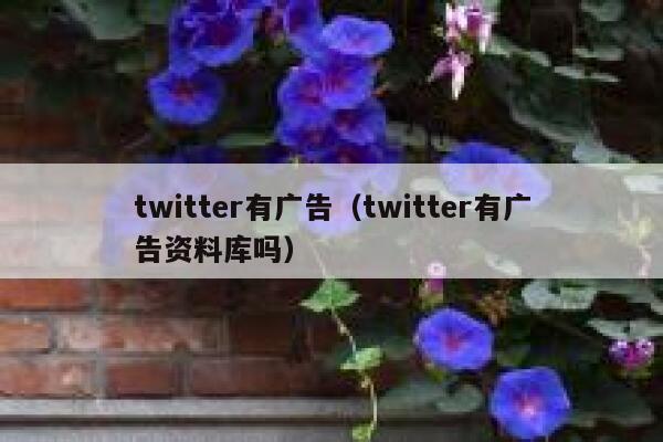 twitter有广告(twitter有广告资料库吗) 第1张 twitter有广告(twitter有广告资料库吗) 第1张