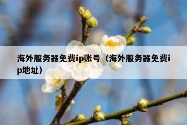 海外服务器免费ip账号（海外服务器免费ip地址） 第1张