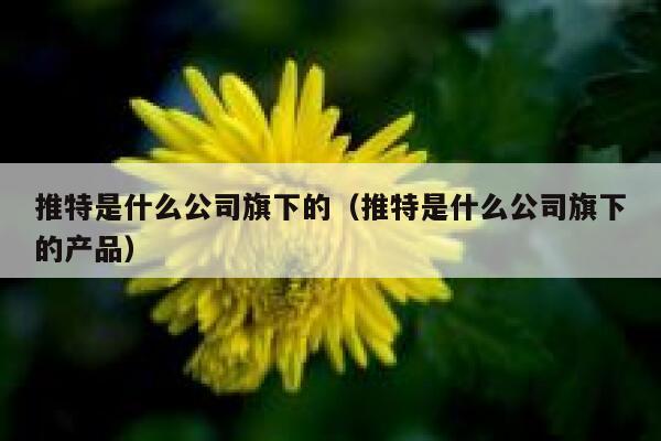 推特是什么公司旗下的(推特是什么公司旗下的产品) 第1张 推特是什么公司旗下的(推特是什么公司旗下的产品) 第1张