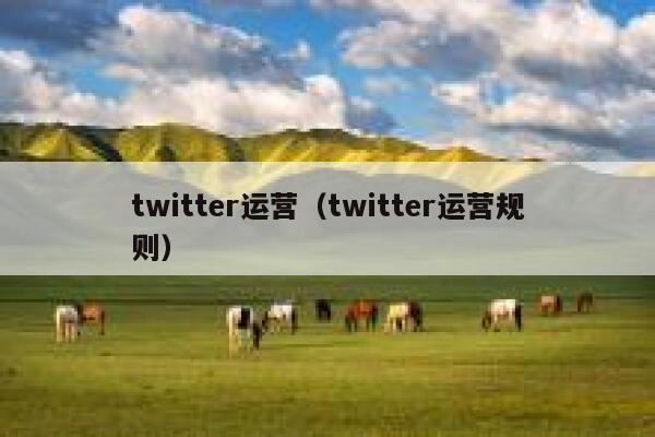 twitter运营（twitter运营规则） 第1张