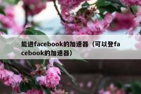能进facebook的加速器（可以登facebook的加速器） 第1张