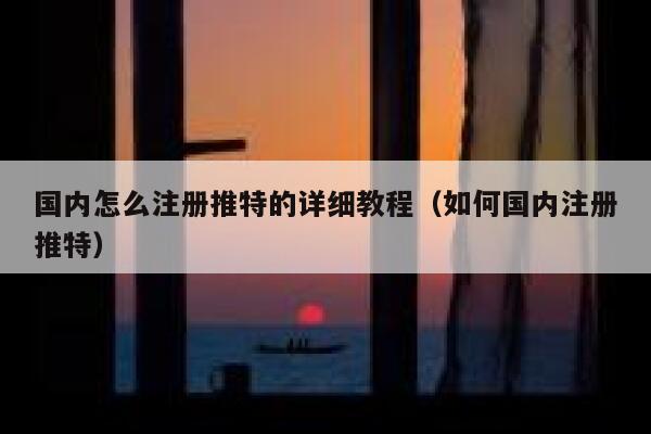 国内怎么注册推特的详细教程（如何国内注册推特） 第1张