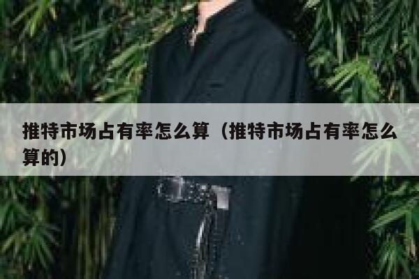 推特市场占有率怎么算（推特市场占有率怎么算的） 第1张