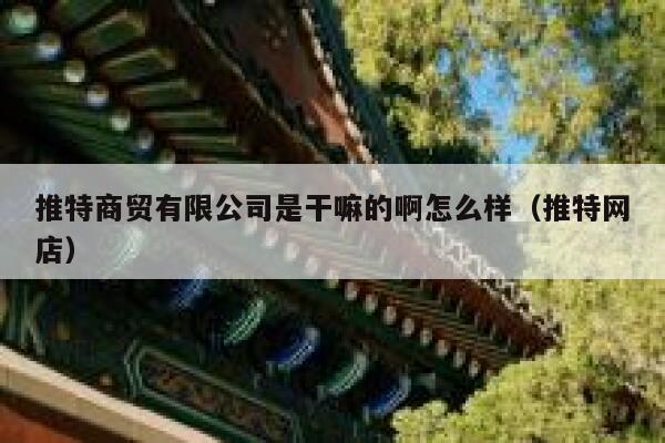 推特商贸有限公司是干嘛的啊怎么样（推特网店） 第1张