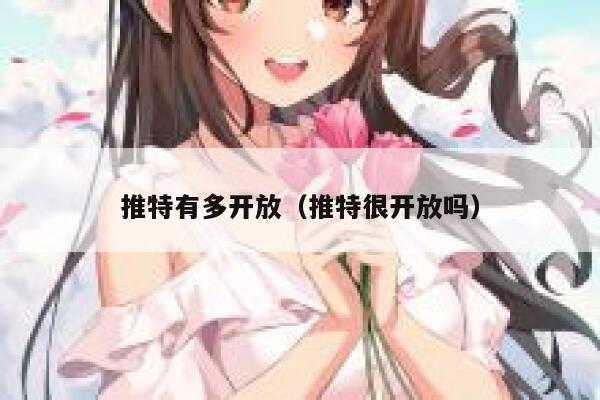 推特有多开放（推特很开放吗） 第1张
