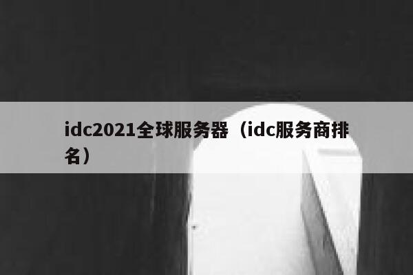 idc2021全球服务器（idc服务商排名） 第1张