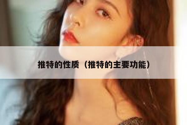 推特的性质（推特的主要功能） 第1张