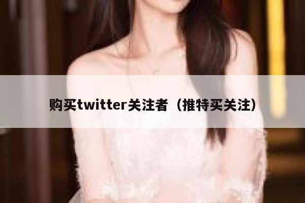 购买twitter关注者（推特买关注） 第1张