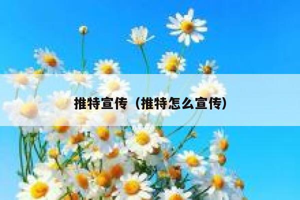 推特宣传(推特怎么宣传) 第1张 推特宣传(推特怎么宣传) 第1张