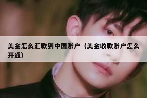 美金怎么汇款到中国账户（美金收款账户怎么开通） 第1张