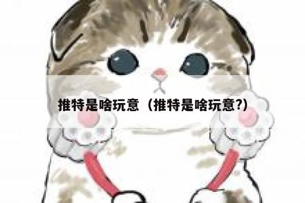推特是啥玩意（推特是啥玩意?） 第1张