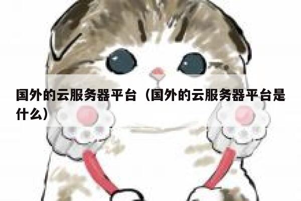 国外的云服务器平台（国外的云服务器平台是什么） 第1张