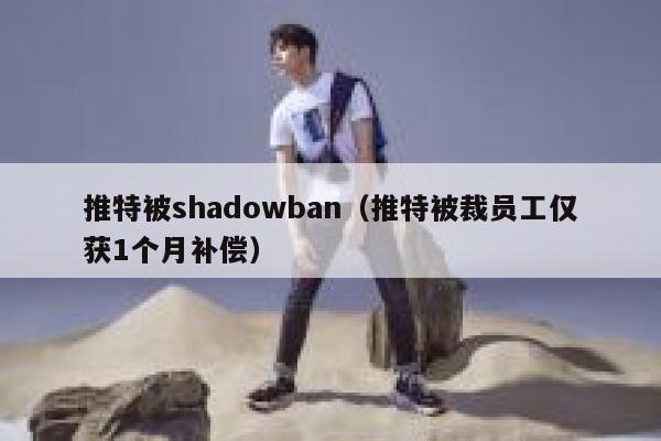 推特被shadowban（推特被裁员工仅获1个月补偿） 第1张