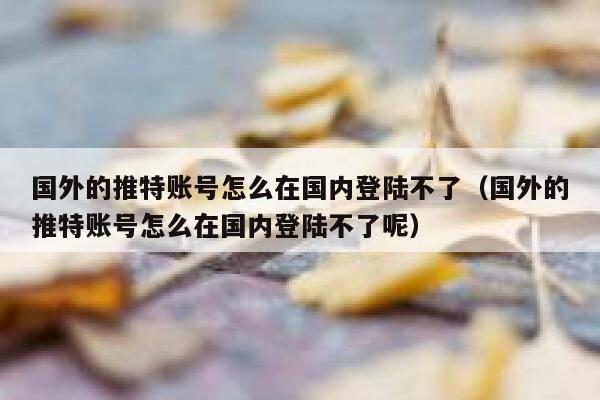 国外的推特账号怎么在国内登陆不了（国外的推特账号怎么在国内登陆不了呢） 第1张