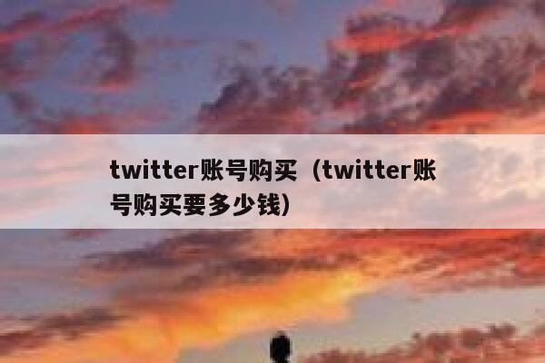 twitter账号购买（twitter账号购买要多少钱） 第1张