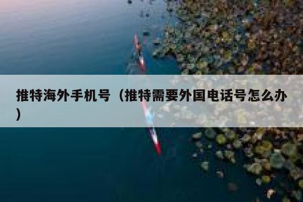 推特海外手机号(推特需要外国电话号怎么办) 第1张 推特海外手机号(推特需要外国电话号怎么办) 第1张