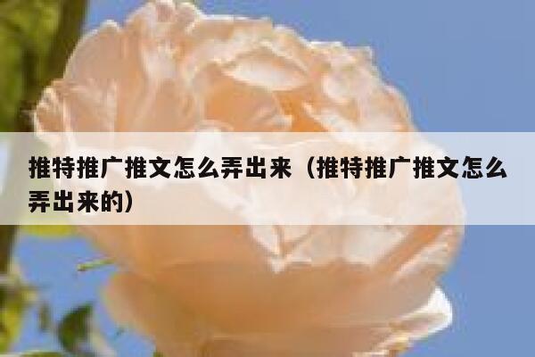 推特推广推文怎么弄出来（推特推广推文怎么弄出来的） 第1张