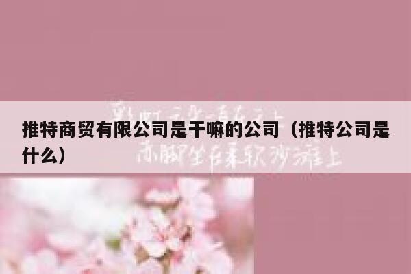 推特商贸有限公司是干嘛的公司（推特公司是什么） 第1张