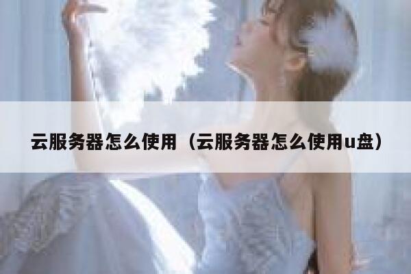 云服务器怎么使用(云服务器怎么使用u盘) 第1张 云服务器怎么使用(云服务器怎么使用u盘) 第1张