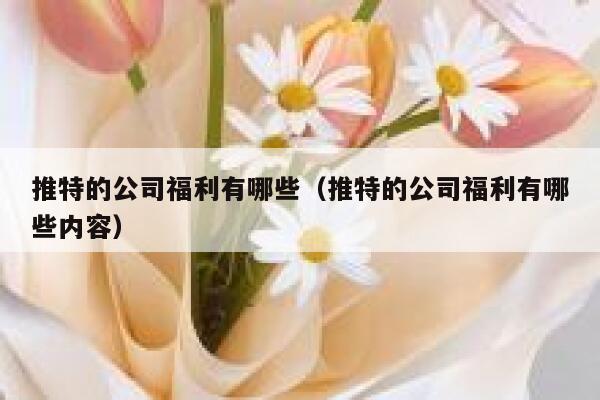 推特的公司福利有哪些（推特的公司福利有哪些内容） 第1张