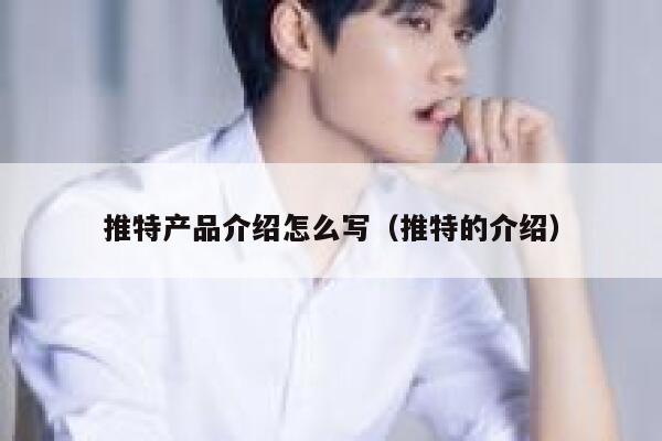 推特产品介绍怎么写（推特的介绍） 第1张