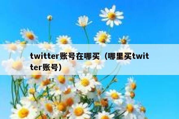 twitter账号在哪买（哪里买twitter账号） 第1张