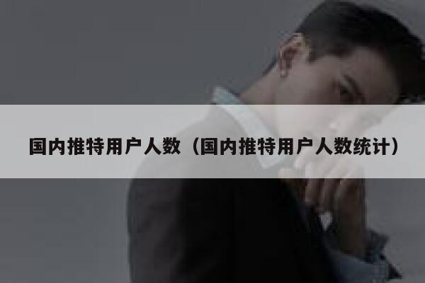 国内推特用户人数(国内推特用户人数统计) 第1张 国内推特用户人数(国内推特用户人数统计) 第1张